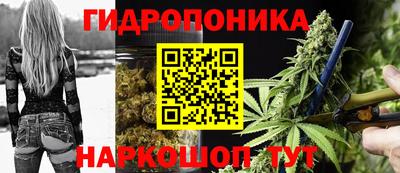 шишки Конаково