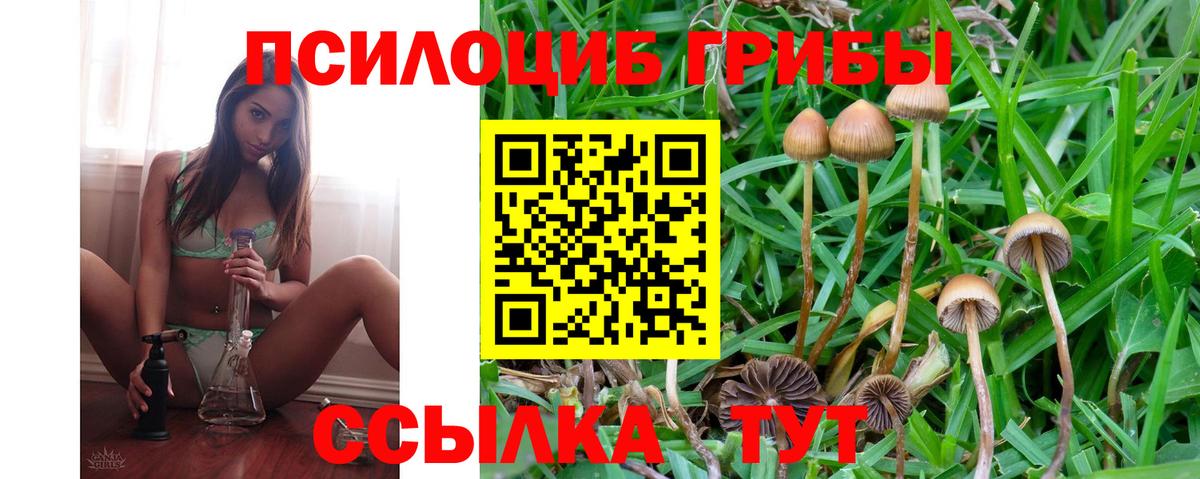 Псилоцибиновые грибы GOLDEN TEACHER Кашира